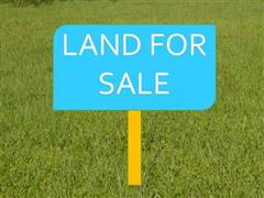 3 Rai for sale - Land - Silverlake - 